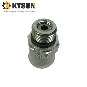 Check Valve 2898181 2898182  (2)(001)