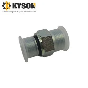 Check Valve 2898181 2898182 for Original Cummins Diesel Motor Spare Parts (2)(001)