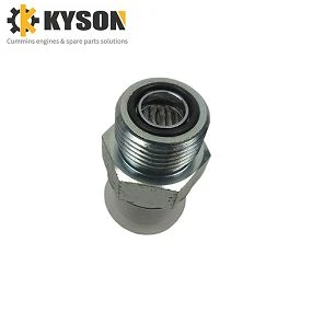 Check Valve 2898181 2898182 for Original Cummins Diesel Motor Spare Parts (6)(001)